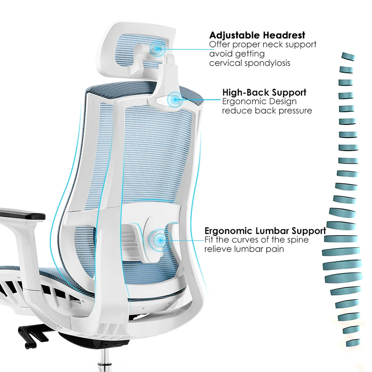 Ergonomic Mesh Office Chair